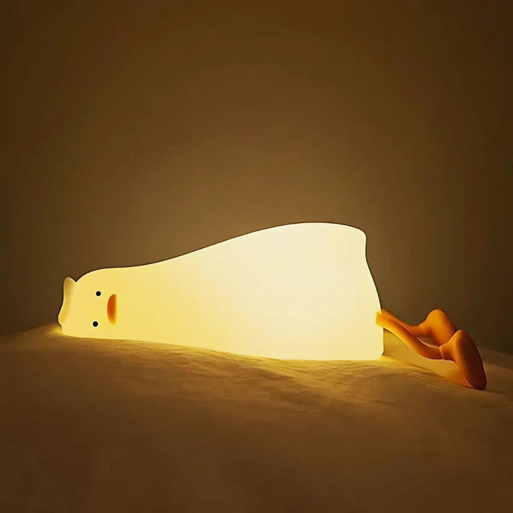 Veilleuse excité 12