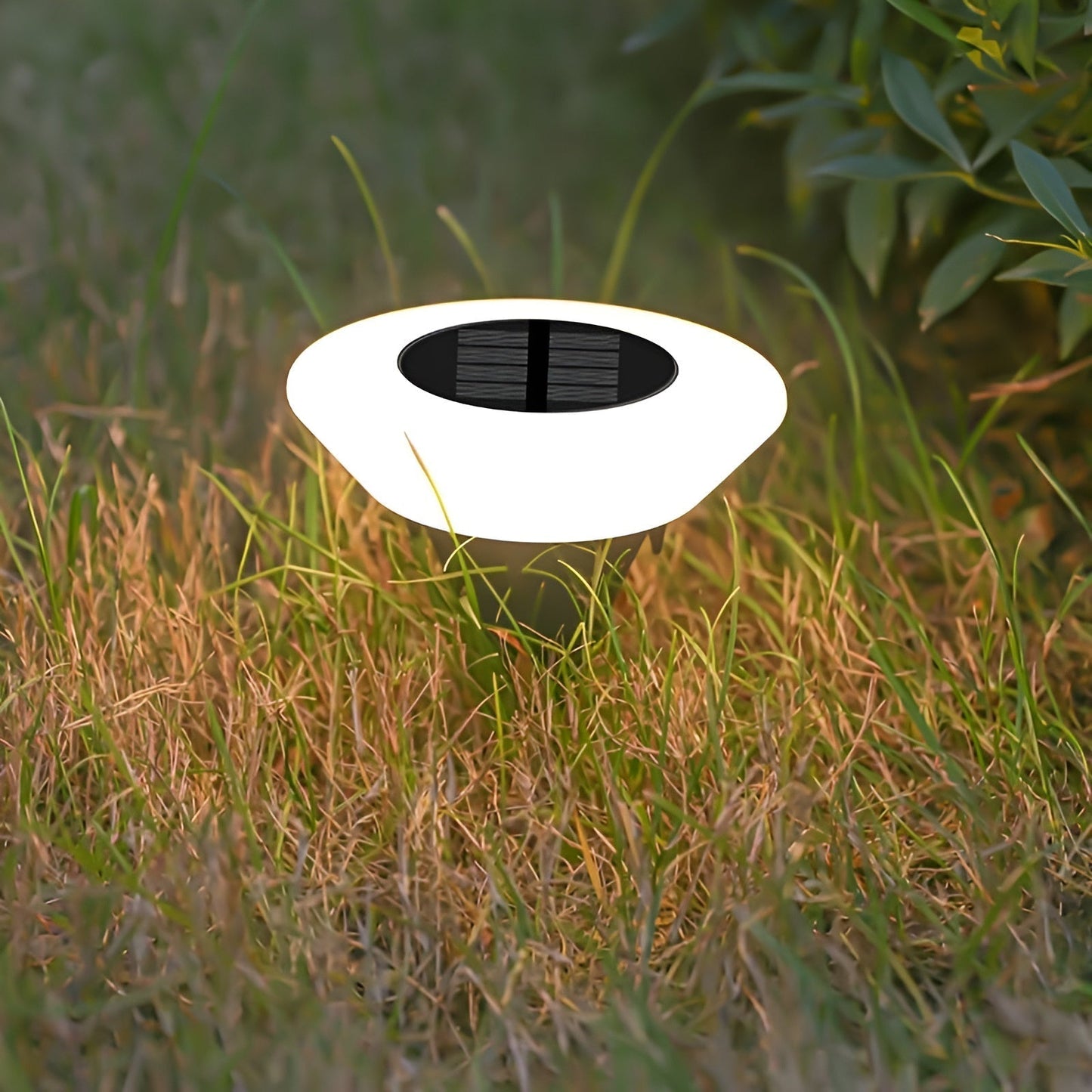 Lampe solaire LED pour extérieur et jardin