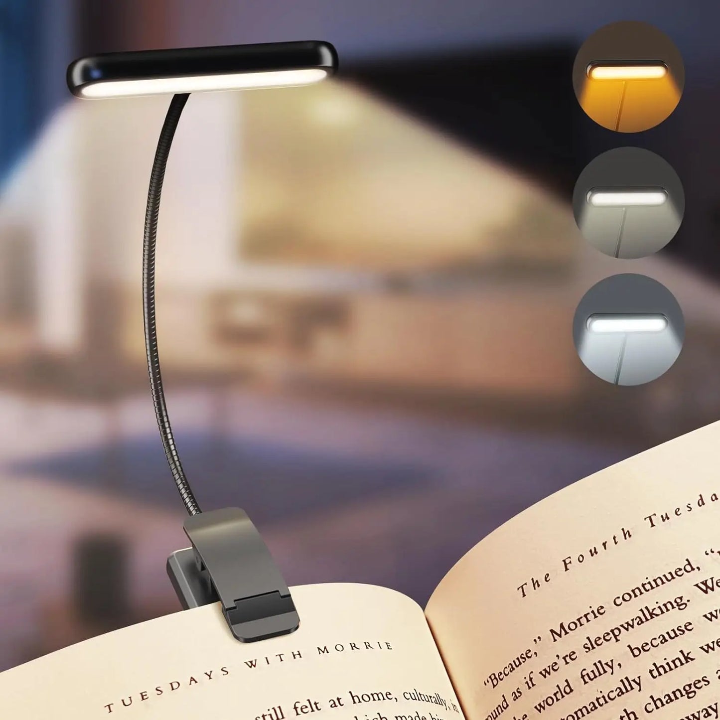 Lampe de Lecture Ea - USB - Rechargeable